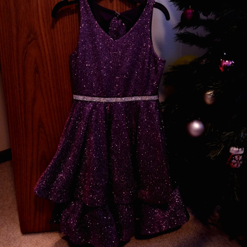 Rare Edition Dress 10